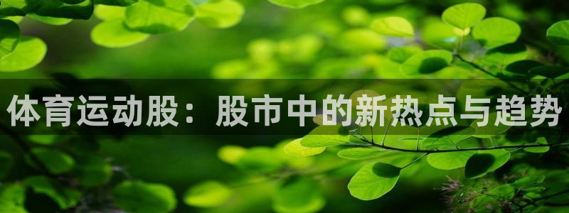 vsport体育在线官网