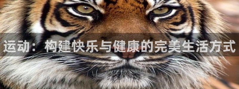 vsport体育在线官网：运动：构建快乐与健康的完美生活方式