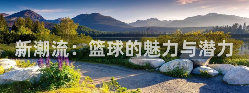 vsport体育：新潮流：篮球的魅力与潜力