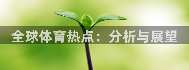 vsport体育在线官网：全球体育热点：分析与展望