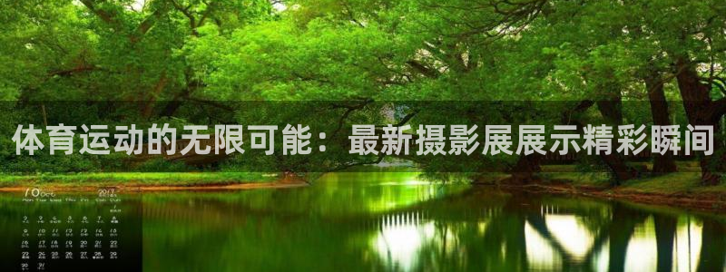 vsport体育：体育运动的无限可能：最新摄影展展示精彩瞬间