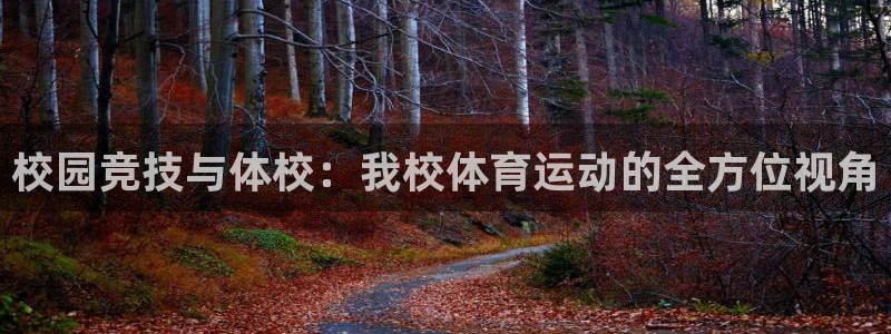 vsport体育：校园竞技与体校：我校体育运动的全方位视角