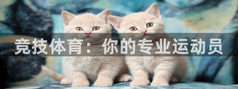 vsport体育在线官网：竞技体育：你的专业运动员