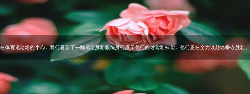 vsport体育在线官网：在体育运动场的中心，我们看到了一群运动员和教练员们展示他们的才能和技能，他们正在全力以赴地争夺胜利。