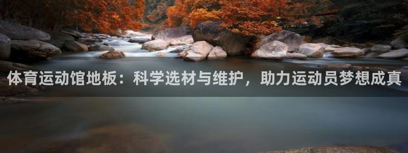 vsport体育在线官网：体育运动馆地板：科学选材与维护，助力运动员梦想成真