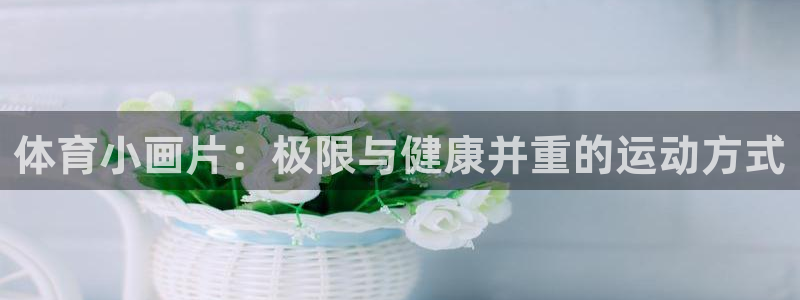vsport体育在线官网：体育小画片：极限与健康并重的运动方式